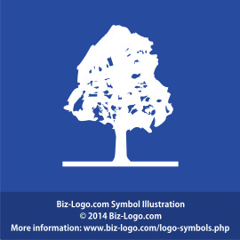 Birch Tree